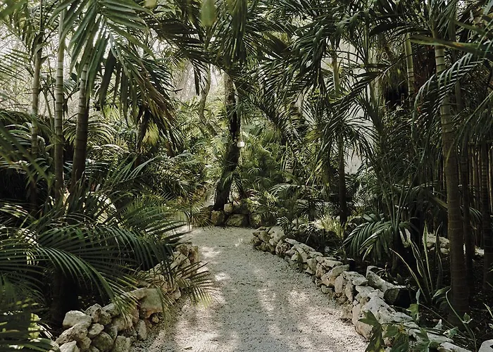 Vida Tulum