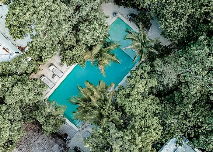 Vida Hotel