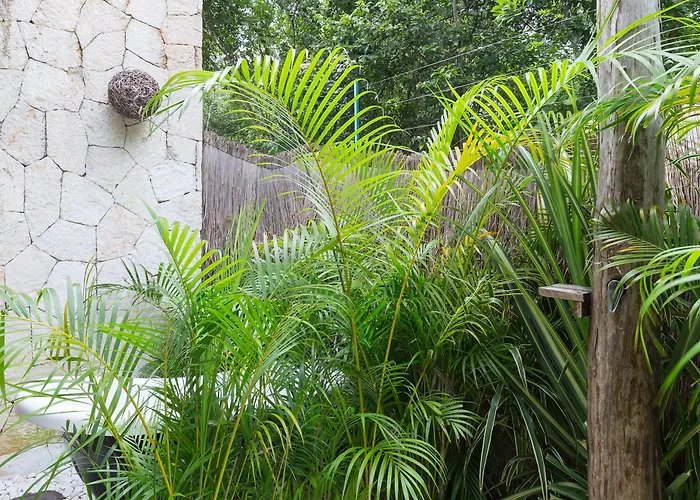 Hotel Vida Tulum