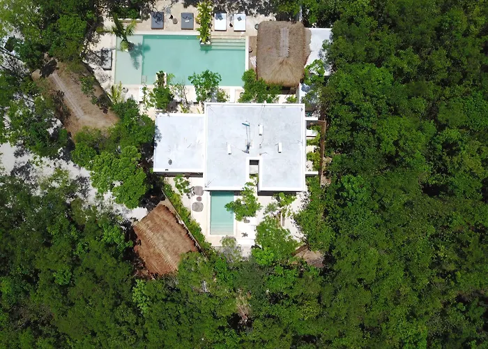 Vida Hotel 5*