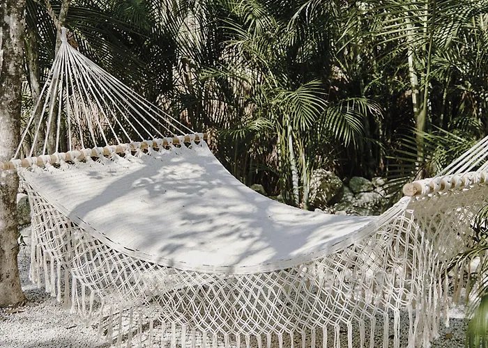 Vida Hotel Tulum