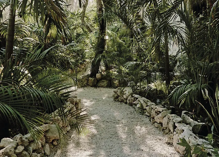 Vida 5* Tulum